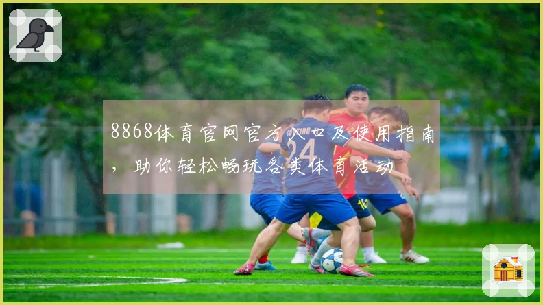 8868体育官网官方入口及使用指南，助你轻松畅玩各类体育活动